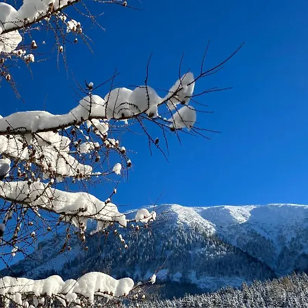 公寓 Teichwies'n Alm Wilde Wunder Card 拉肯霍夫