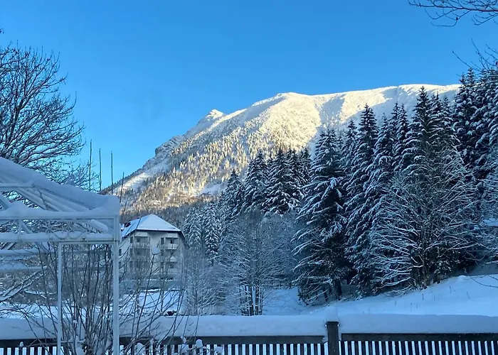 Lejlighed Teichwies'n Alm Wilde Wunder Card